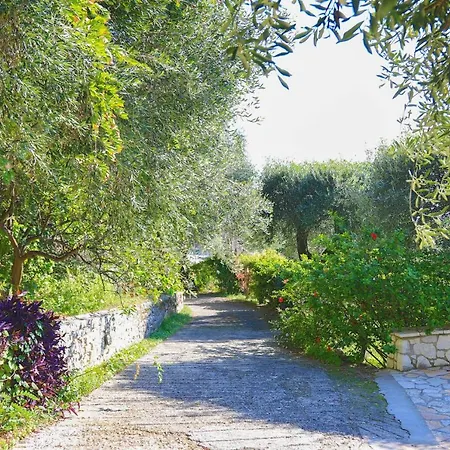 Natasha * Katávolos